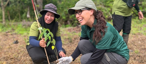 The Role of Sustainable Palm Oil in Dairy Production
